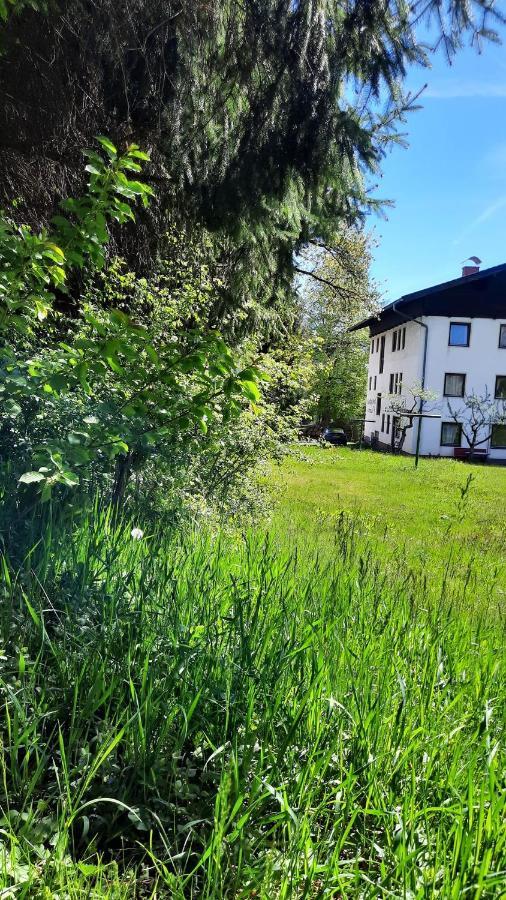 Gaestehaus Post Aigner Greifenburg Buitenkant foto